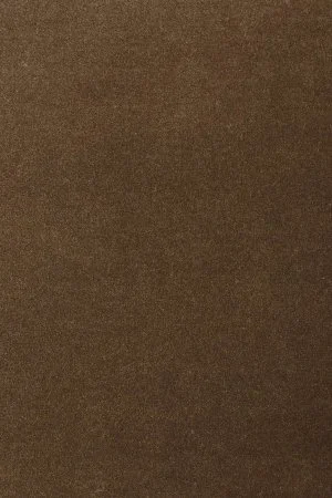 Ковровое покрытие AW Oinone 44 - (5м) в Омске