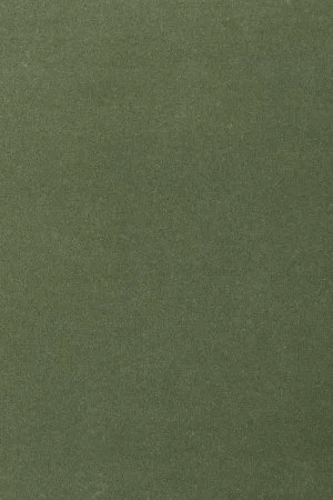 Ковровое покрытие AW Oinone 24 - (5м) в Омске