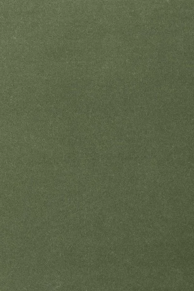 Ковровое покрытие AW Oinone 24 - (4м) в Омске