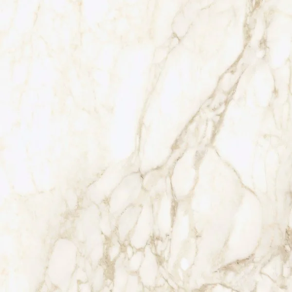 Керамогранит Coliseum Микеланджело Ворм 60х60 (Натуральный и Реттифицированный) в Омске