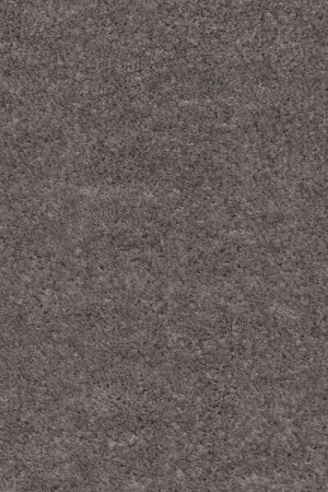 Ковровое покрытие AW Euphoria 45 - (5м) в Омске