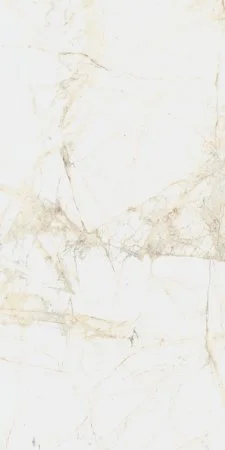 Керамогранит Coliseum Канова Уайт 60х120 (Натуральный и Реттифицированный) в Омске