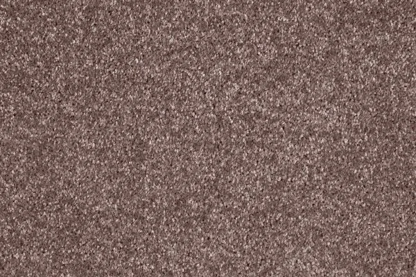 Ковровое покрытие AW Gala 60 - (5м) в Омске